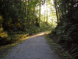 A Bend In The Road Picture